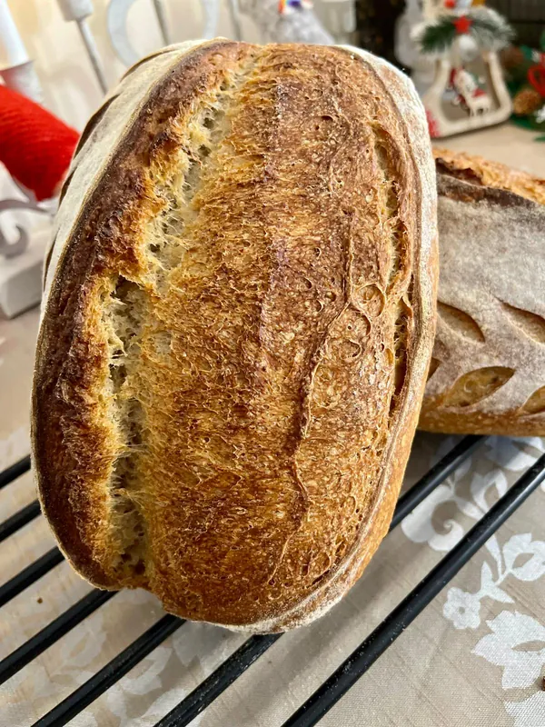 Bröd Art — bread 23